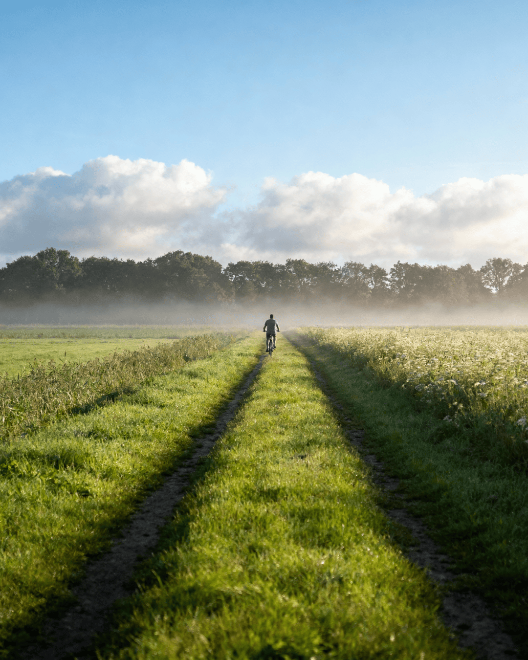 fiscfree_dutch_nature_1080x1350